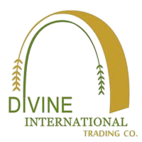 Divine International